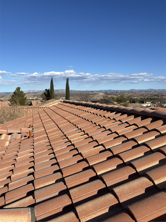 Professional Roofing